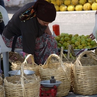 Photo de Turquie - La région de Didim